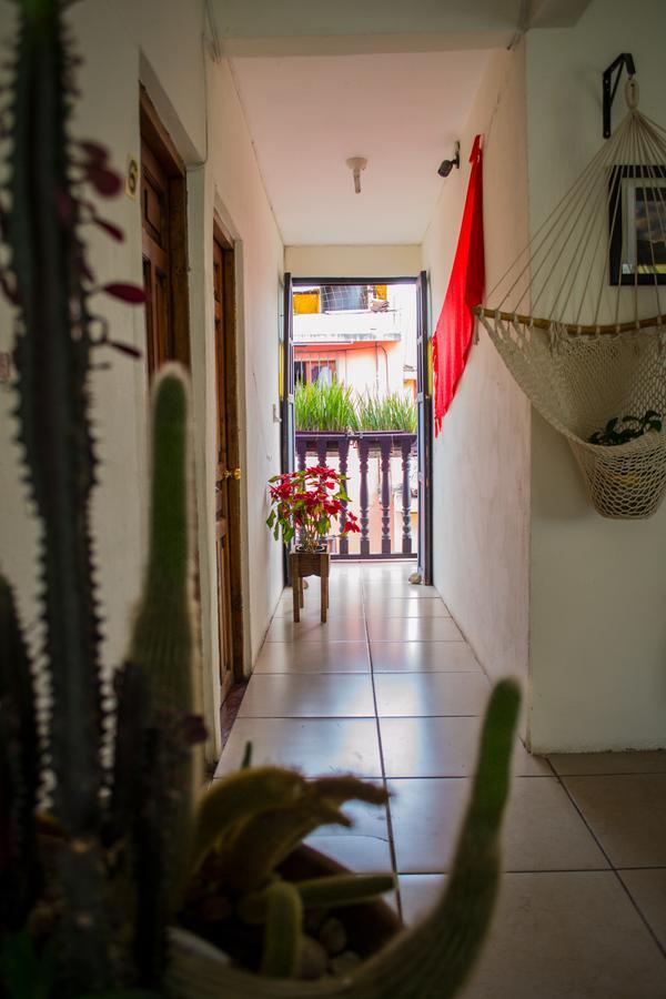 Hotel Casa Mia San Cristóbal de Las Casas Εξωτερικό φωτογραφία